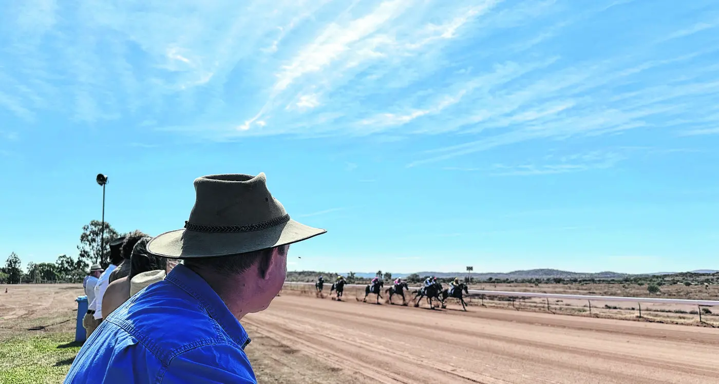 Barwon MP launches petition on country race cancellations
