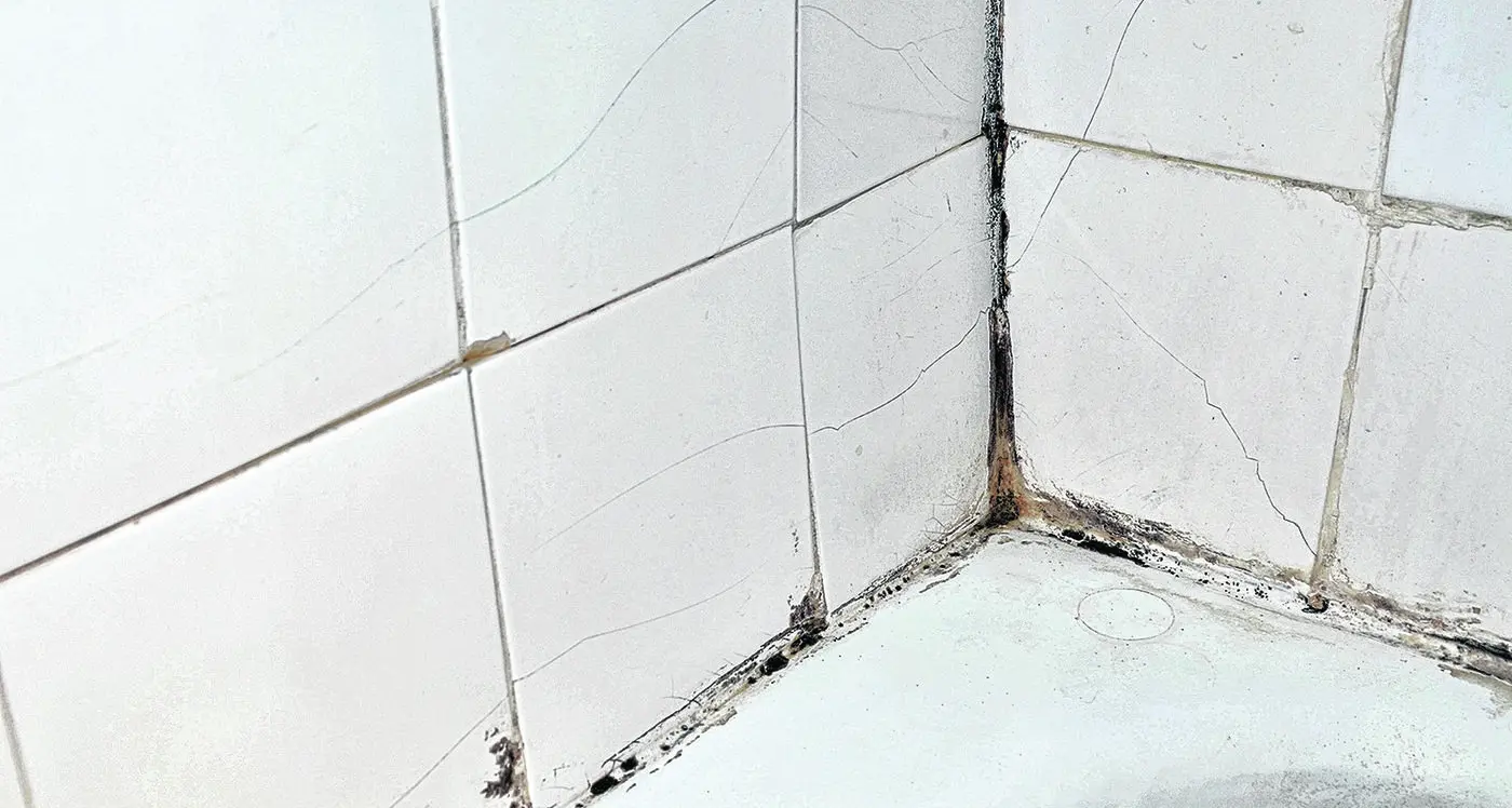 Stubborn mould in the bathroom? Get rid of it with these tips!