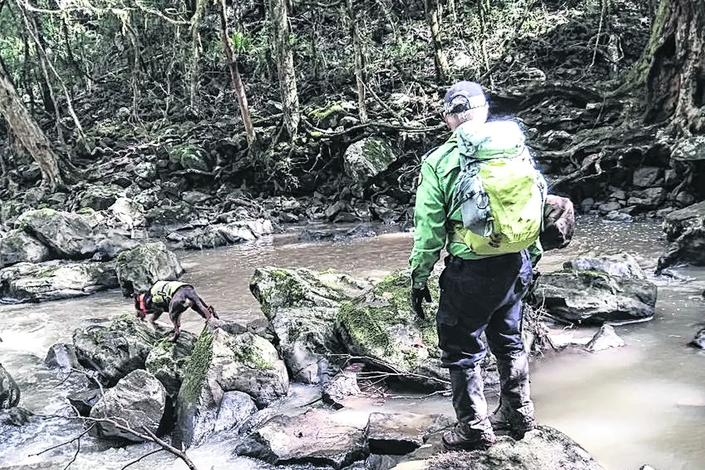 VRA Rescue NSW Secretary and dog handler Tom Millar with Tammy. Photo: Supplied.