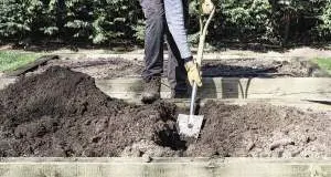 Home and yard care: 10 essential springtime tasks