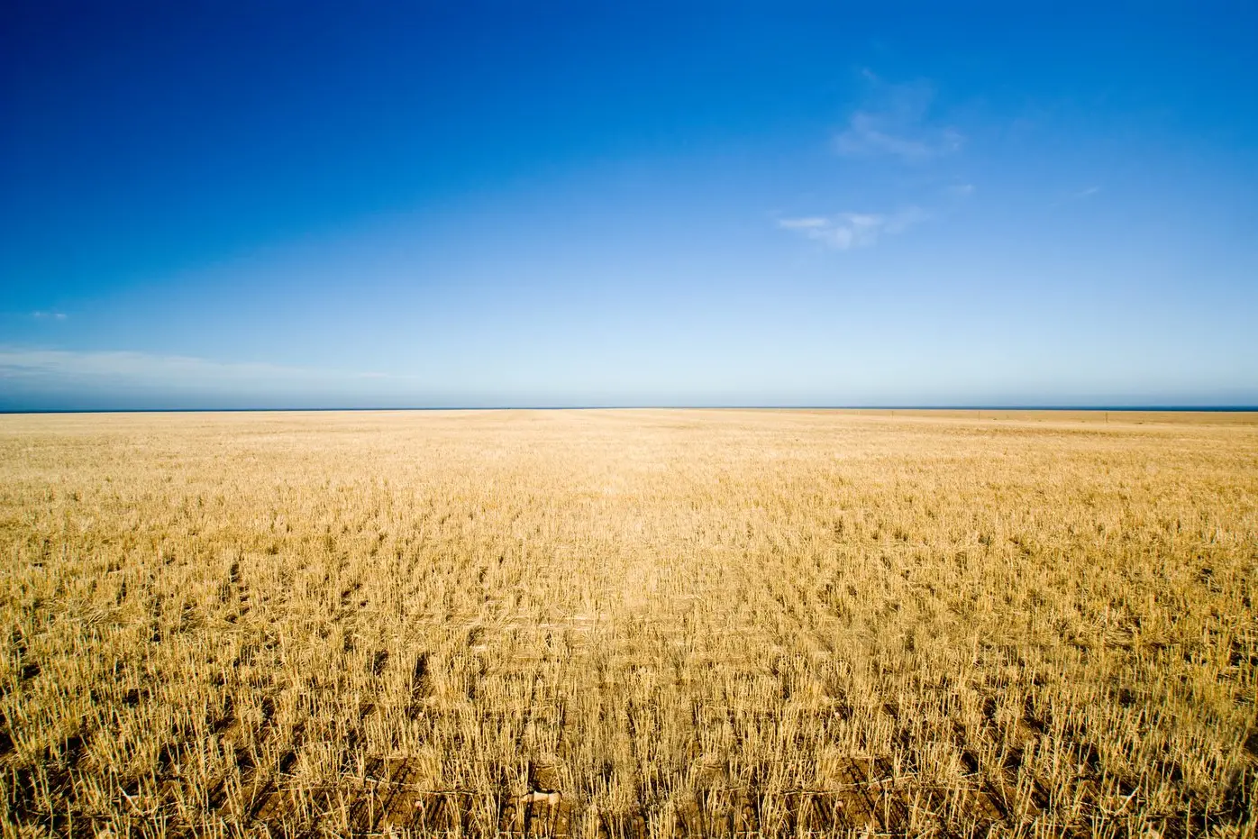 The traditional drivers of farmland values have led to a more subdued buyer appetite, however the longer-term outlook appears optimistic, according to the Rural Bank Australian Farmland Values Report which tracks farmland sales across Australia.