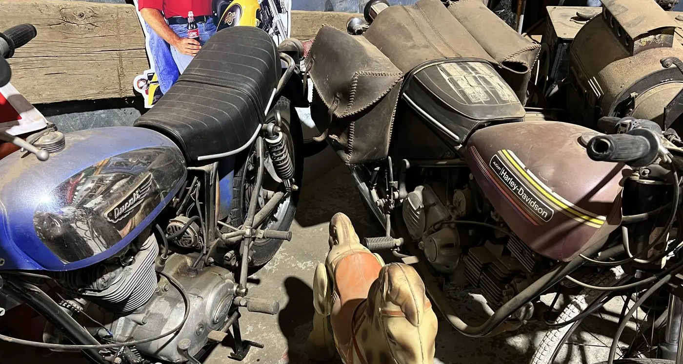 Sneak Peek at Local Wheels 2