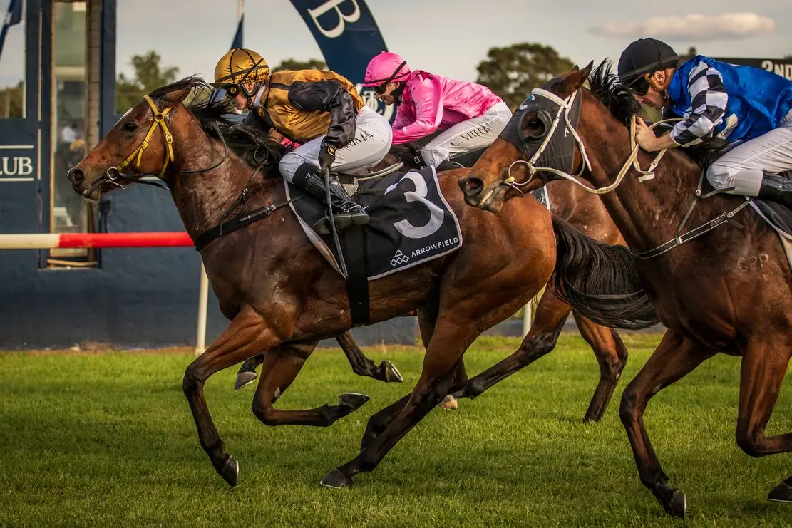 Good year for local racing: Deep Rogue (gold-and-black colours) wins the 2024 Arrowfield Queen of the West race at Dubbo Turf Club recently. Photo: Janian McMillan/Racing Photography