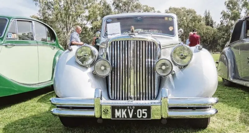 Dubbo just loves classic cars!
