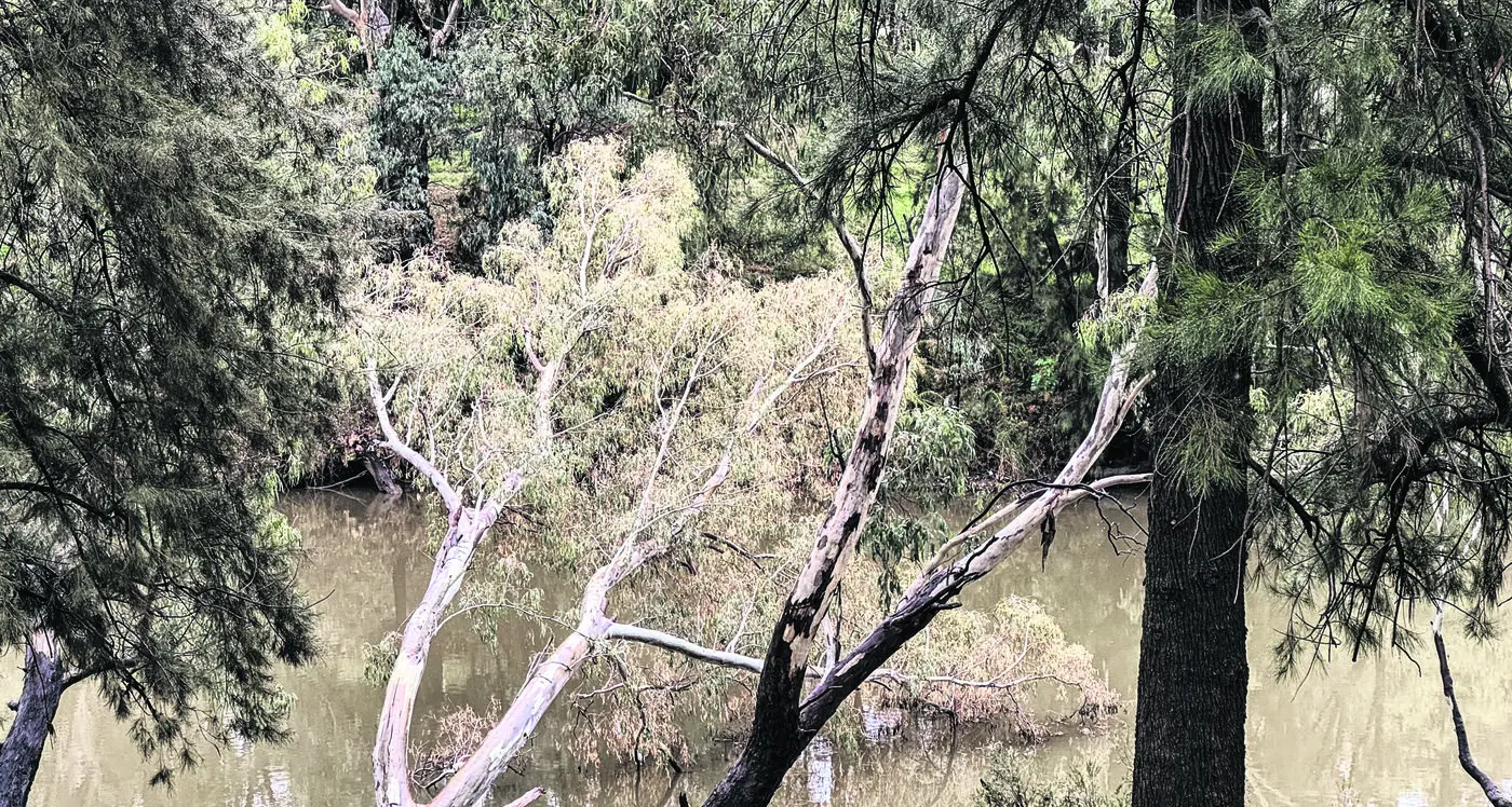 July in Dubbo... in photos