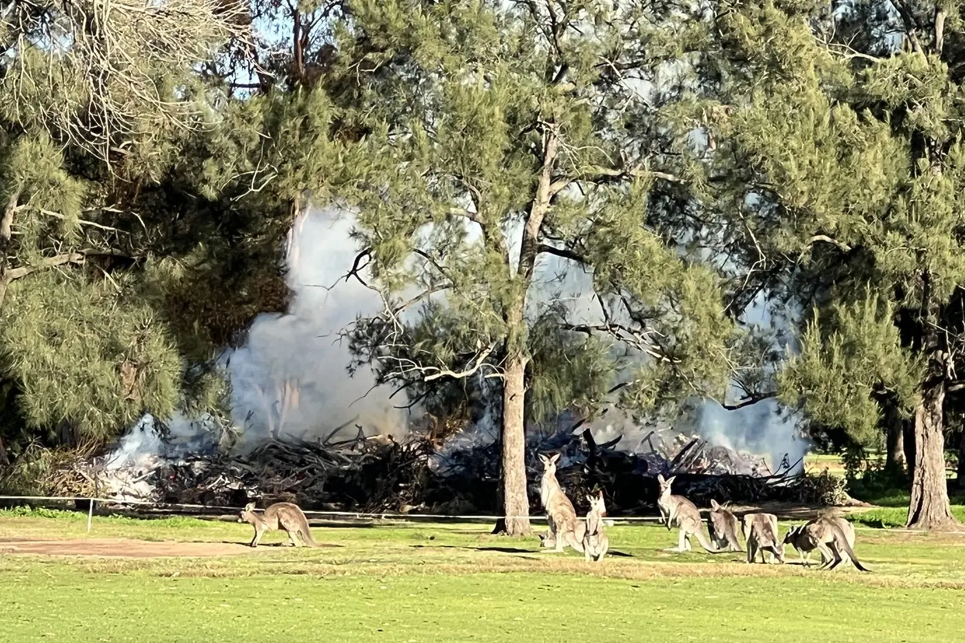 Photo: Dubbo Photo News.
