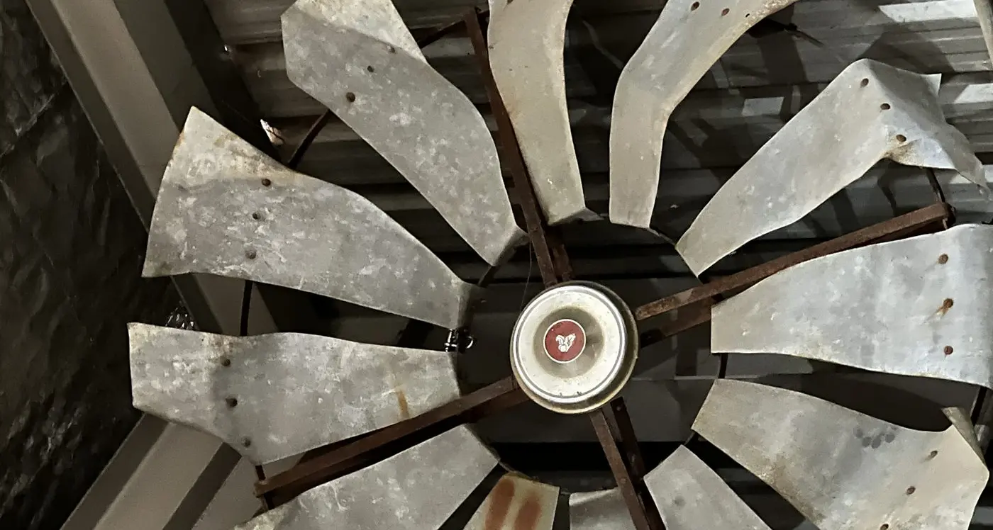 Sneak Peek at Local Wheels 1