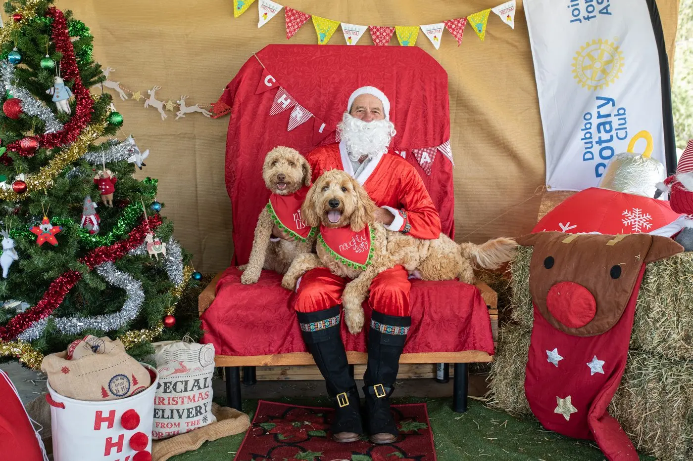 Zoe and Nora told Santa they make the paw-fect canine models, and their humans couldn\\'t agree more. Photo: Supplied