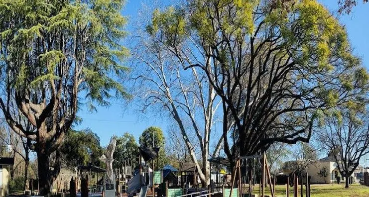 Don’t fence me in? Have say on Wello’s Cameron Park playground