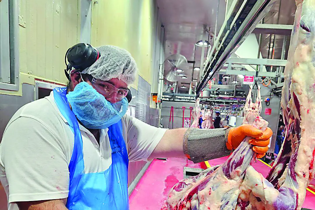 Fletcher International Exports contracted meat inspector Brad Cockerall. Photo: Luke Jenkins