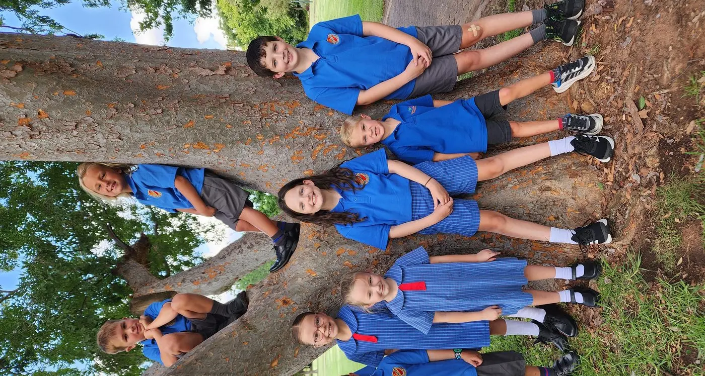 Tree-mendous! School is back for 2025