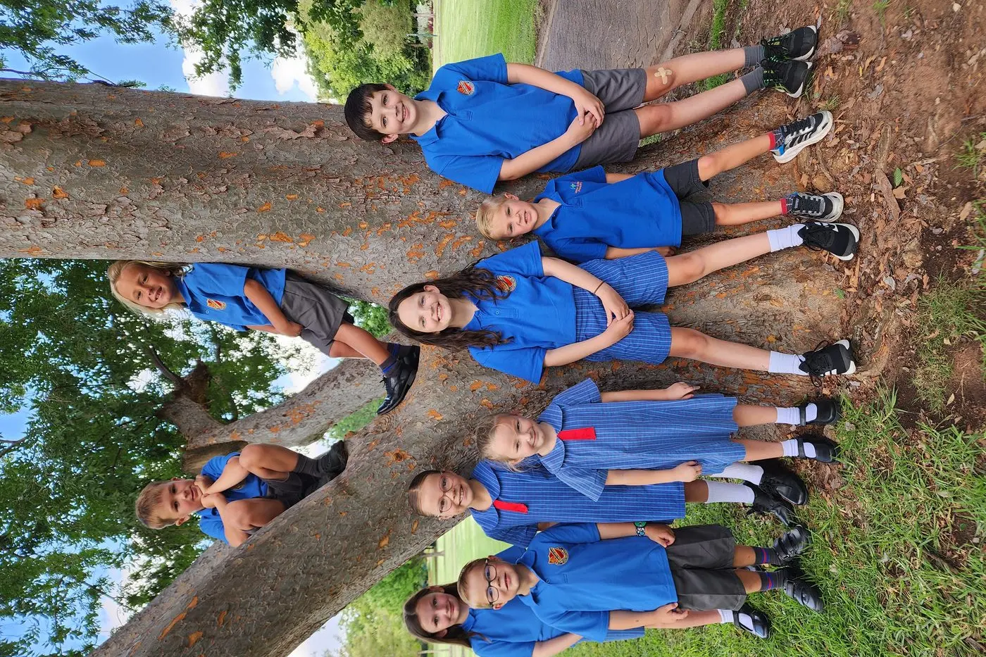 Top, Ashton and Fletcher, below, Dana, Hugo, Bella, Edie, Evie, Theo and Alex.Photo: Dubbo Photo News/Ken Smith