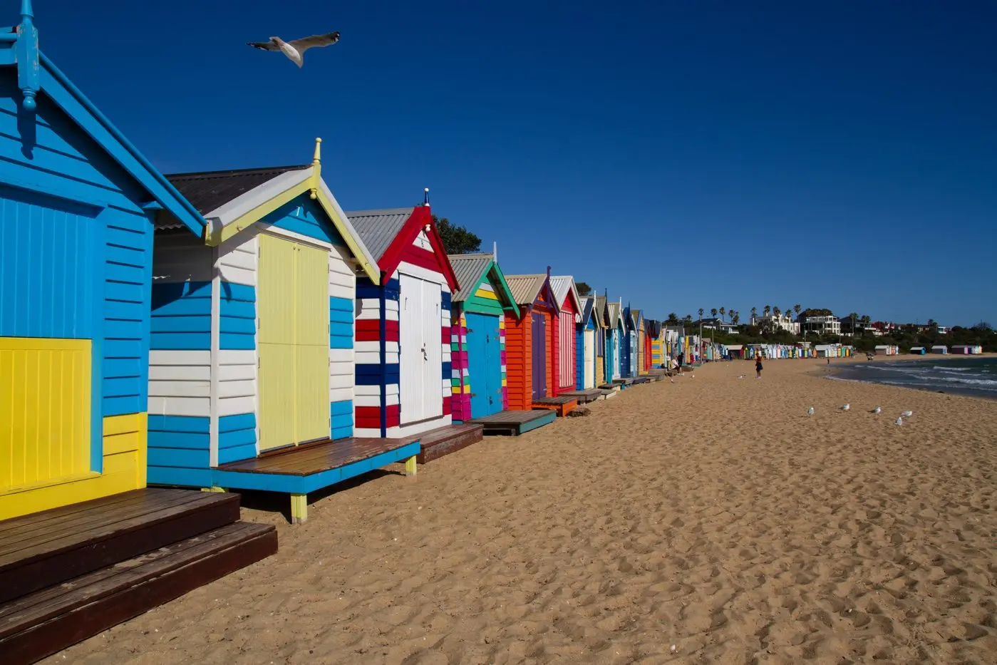 Photo: Jenet Stewart