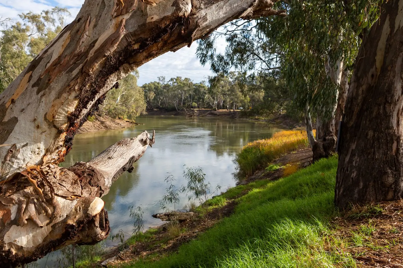 Stakeholders at the heart of consultations are key to the Murray Darling plan, the authority says.