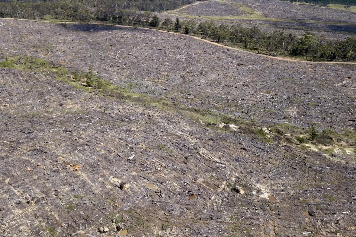 45,000 hectares of land was cleared in NSW in 2022, due to farming, logging and infrastructure. Photo: AAP/Mick Tsikas