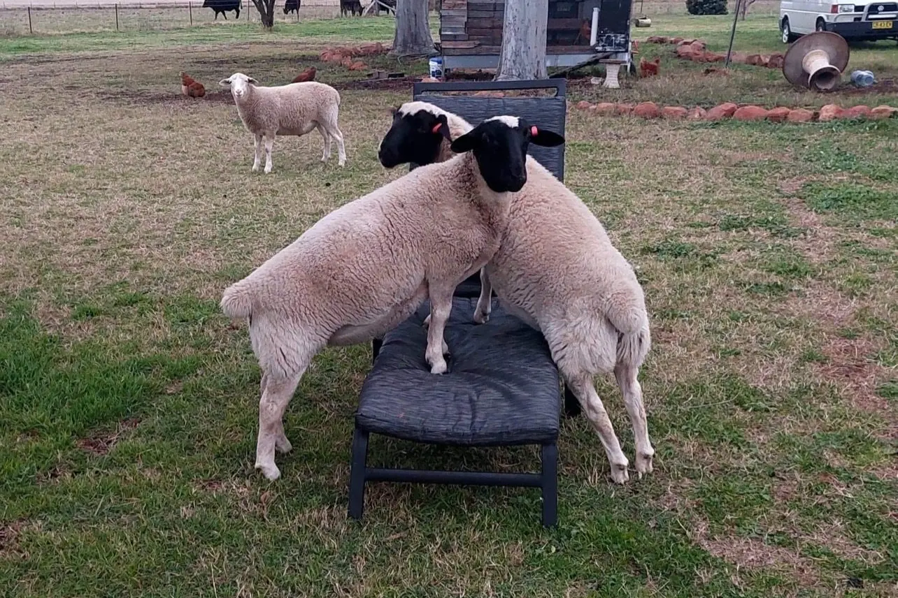 Photo: Contributed by Andrew Foley