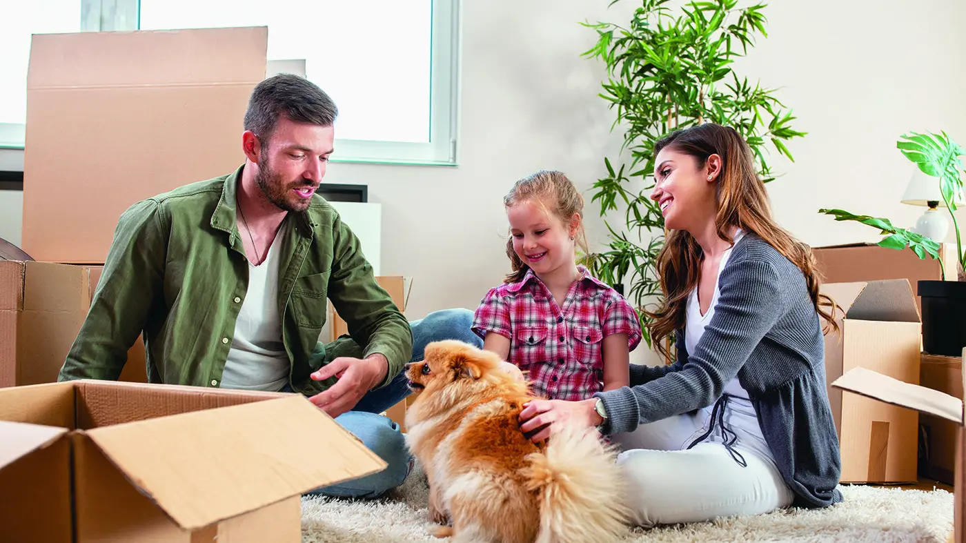 Tips for finding pet-friendly housing