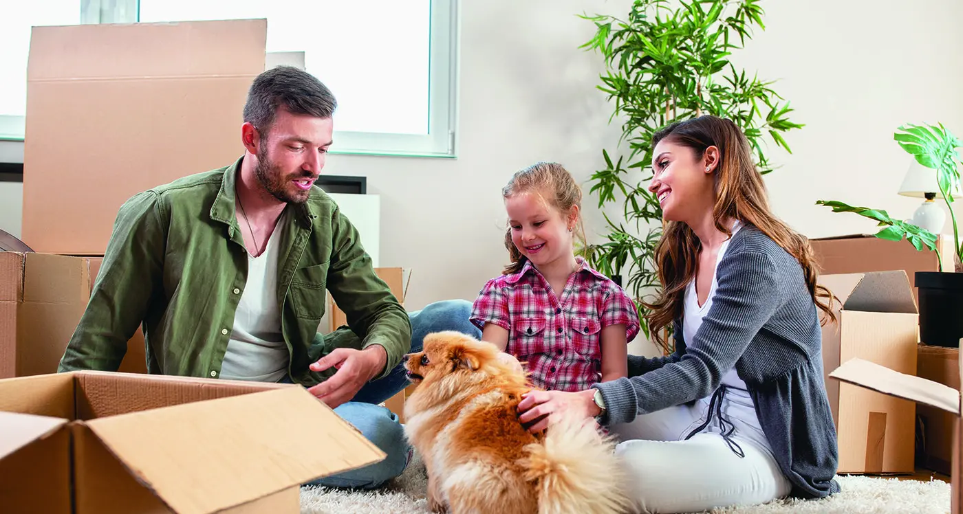 Tips for finding pet-friendly housing