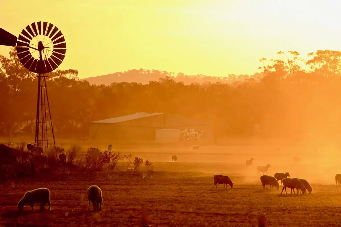 Photo: Dubbo Photo News/Steve Cowley