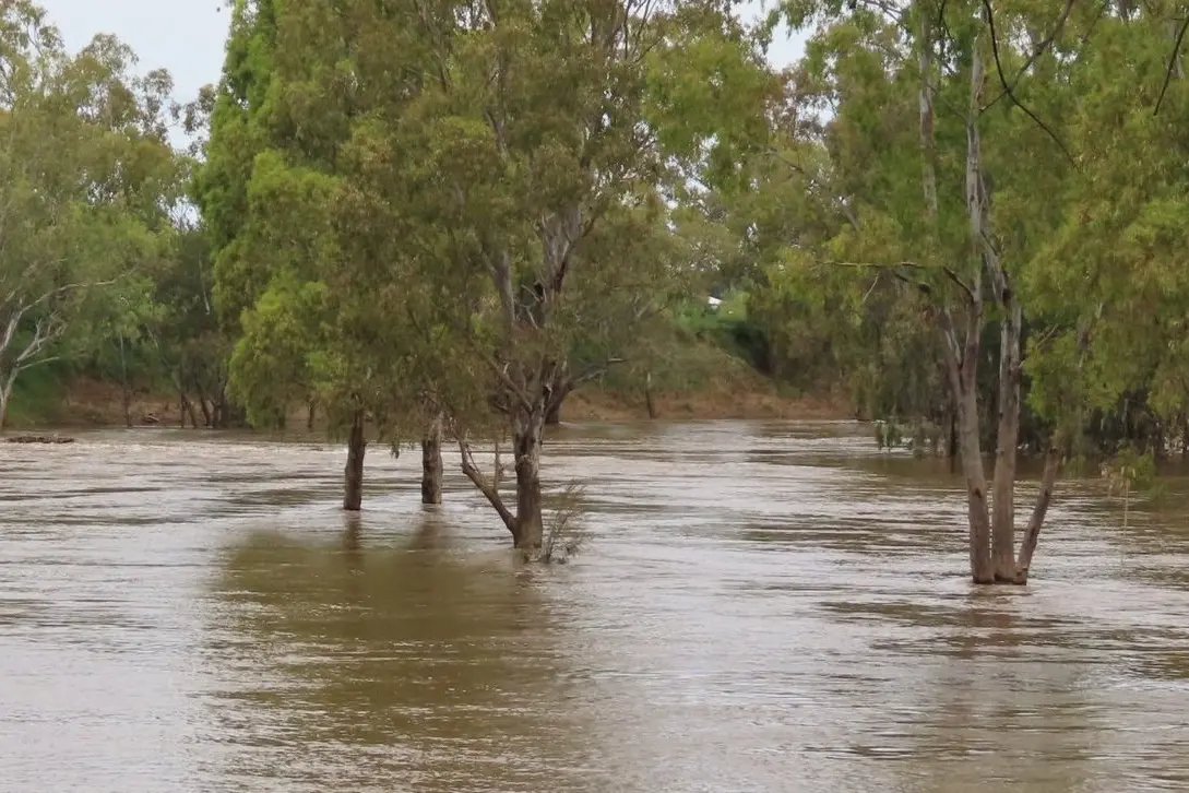 Photo: Dubbo Photo News/file