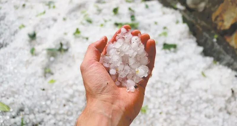 Dubbo ranked second in state's severe weather hotspots: Springtime is the time to prepare your home