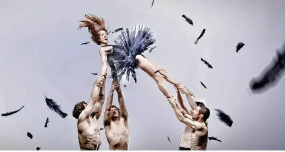 Feathers to fly, new GM search starts, free air ticket, Chang prize goes west