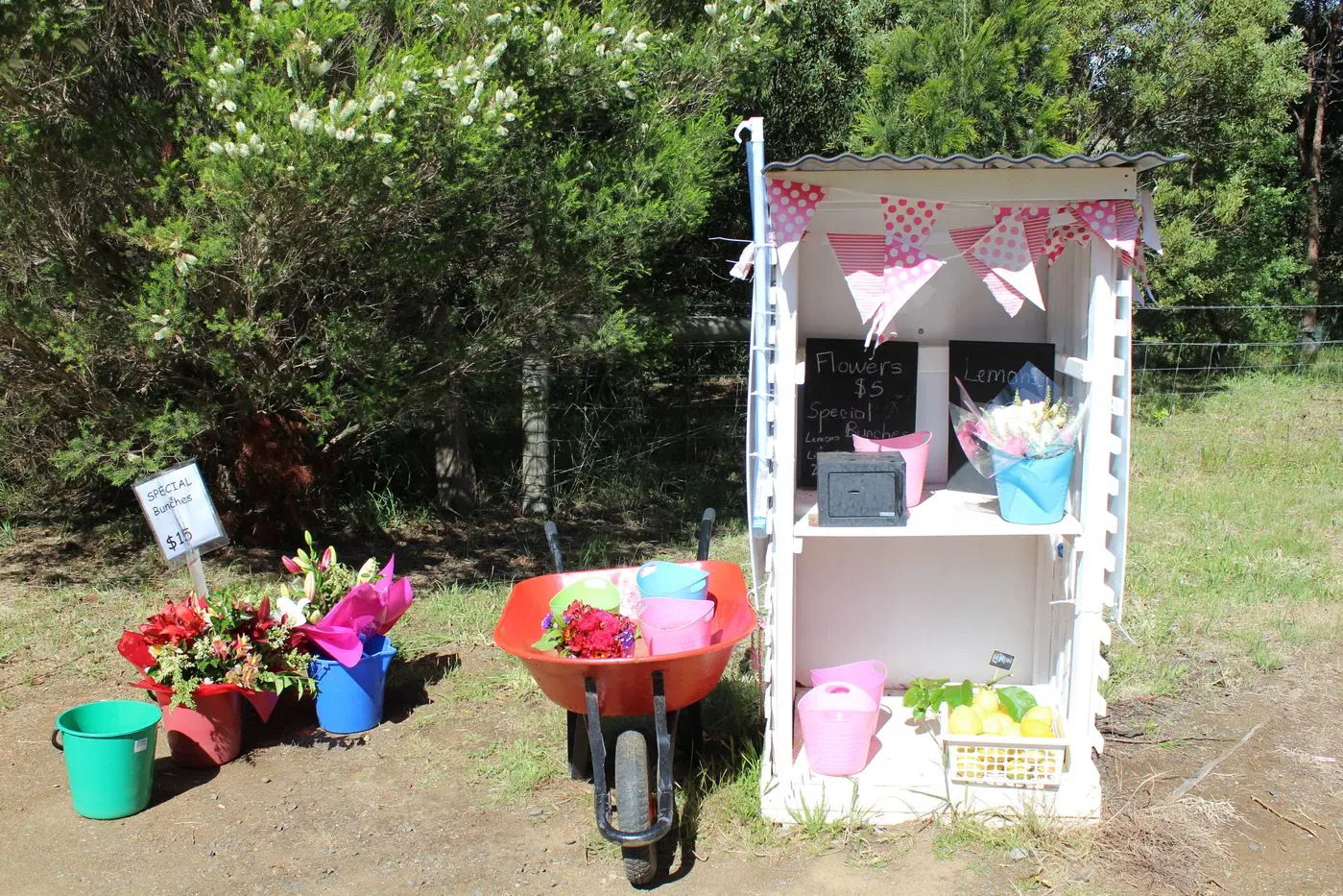 Roadside stalls dot the Australian landscape, offering an array of flowers, crafts and produce. Photo: Shutterstock.