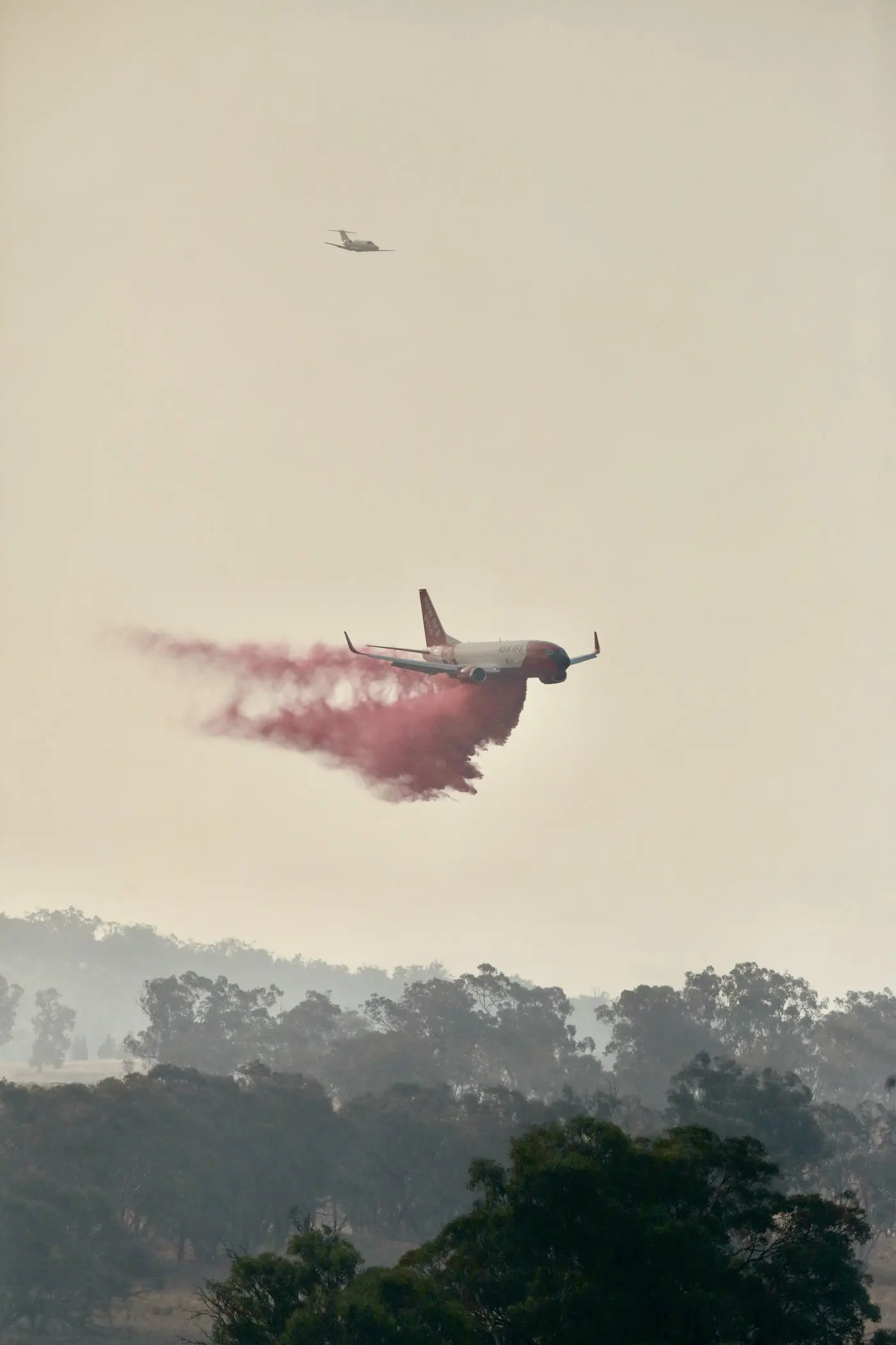 Photo: Dubbo Photo News/Steve Cowley
