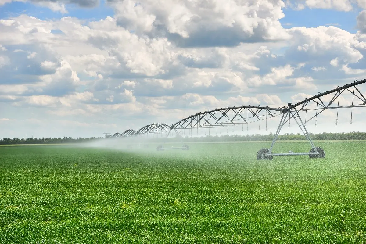 Saving water to avoid buybacks: The Trangie Agricultural Research Centre Syphon Project is designed to improve water security for its members across the Murray-Darling Basin.\\u00A0Photo: Supplied.