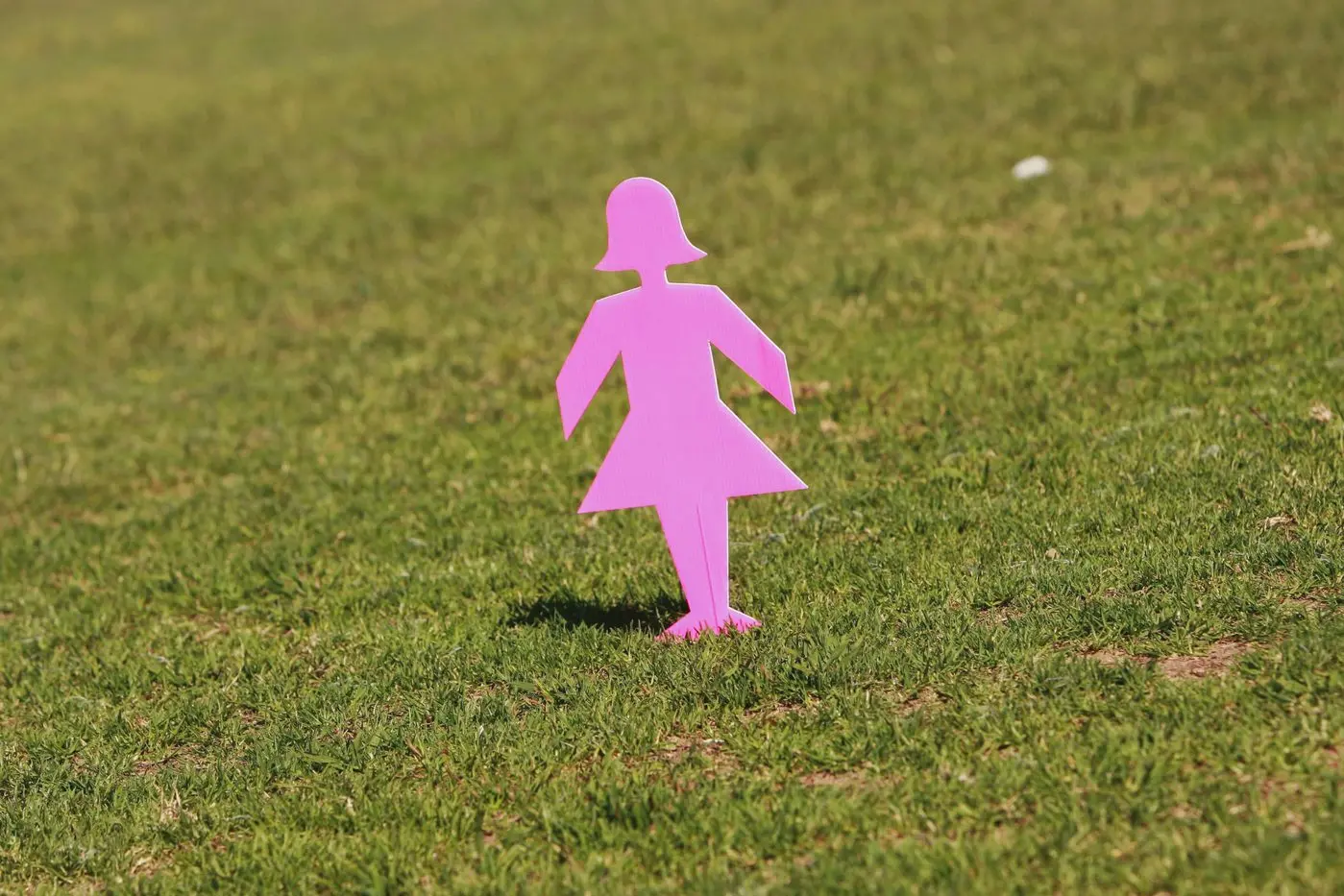 More than 21,000 Australians are diagnosed with breast cancer each year. Photo: Dubbo Photo News