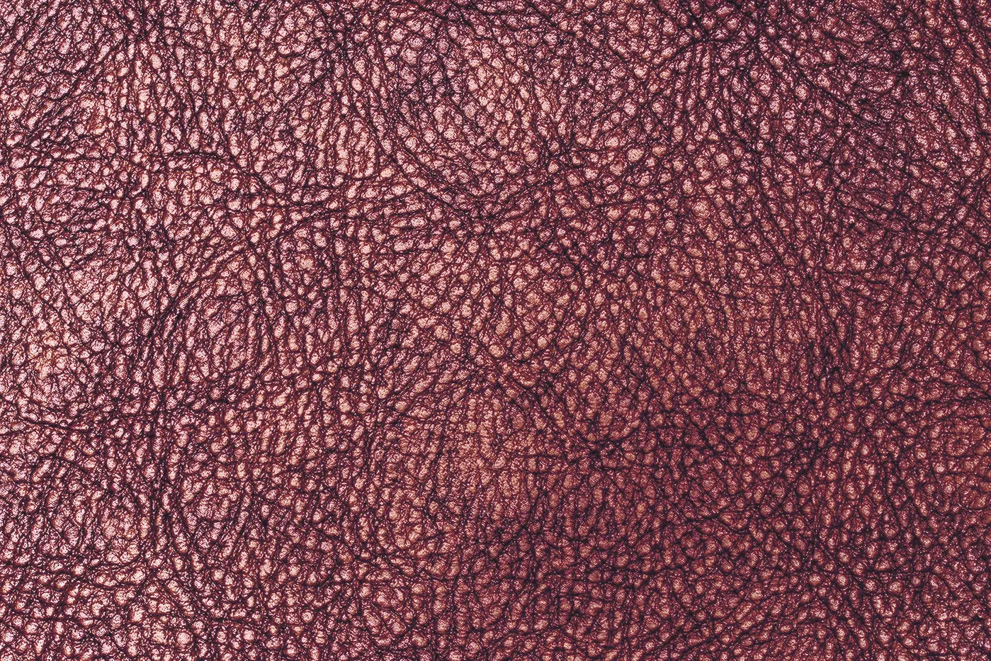 Innovative materials and textiles can enhance both the beauty and functionality of your living space.