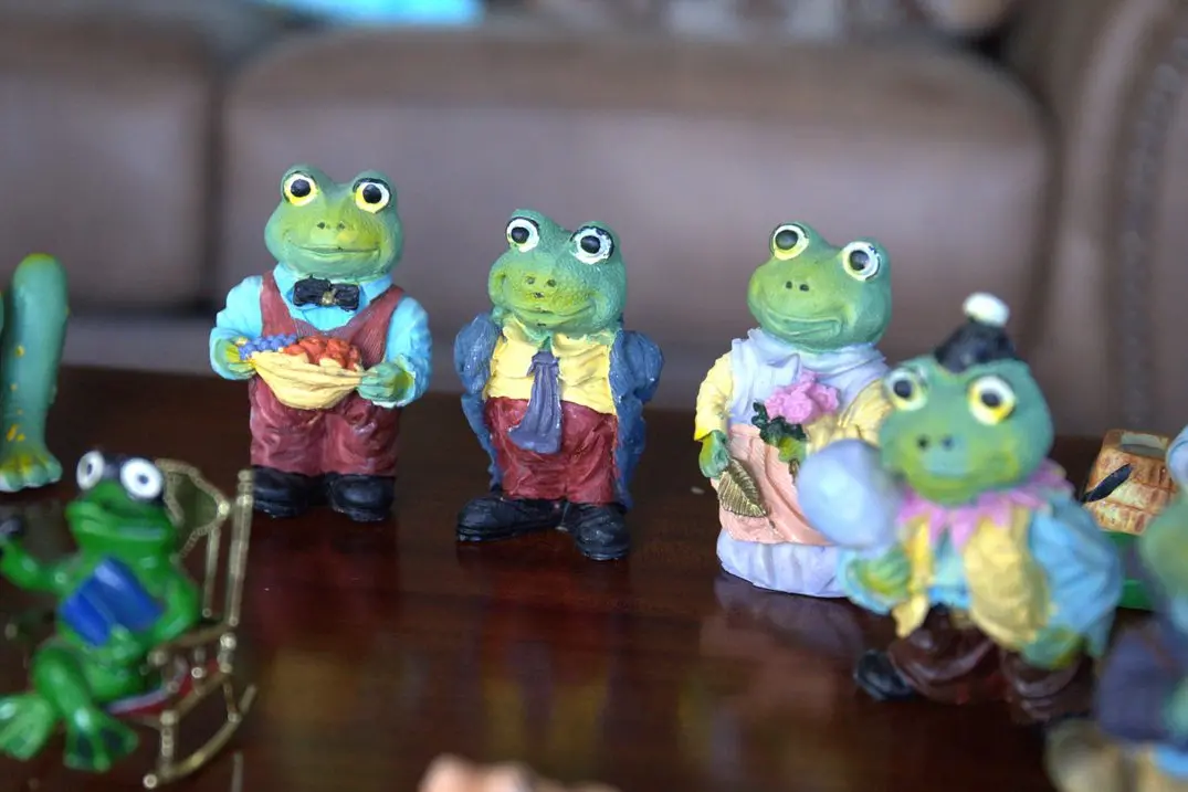 Part of the collection that was exchanged. Photo: Dubbo Photo News/ Joanne Austen Brown.