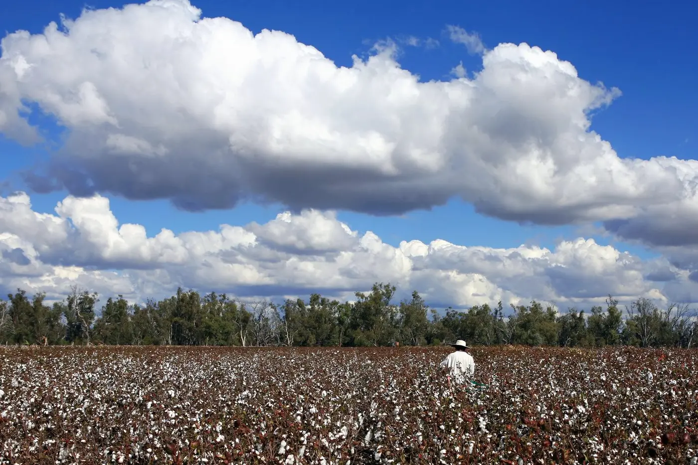 NSW Farmers is reminding employers that minimum award pay and superannuation rates have all been amended as from Monday, July 1.