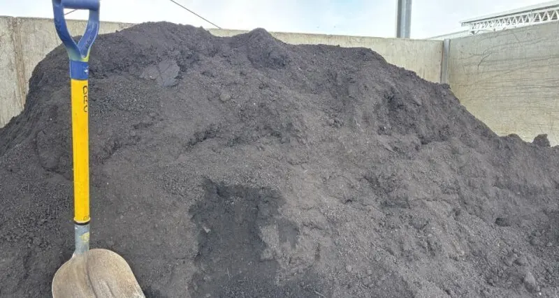 “Black gold”: Council giving compost away to gardeners
