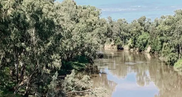 Water security roundtable held in Narromine