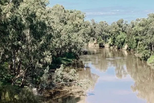 The Macquarie-Wambuul River at Narromine, an important water source for the region. Photo: Dubbo Photo News