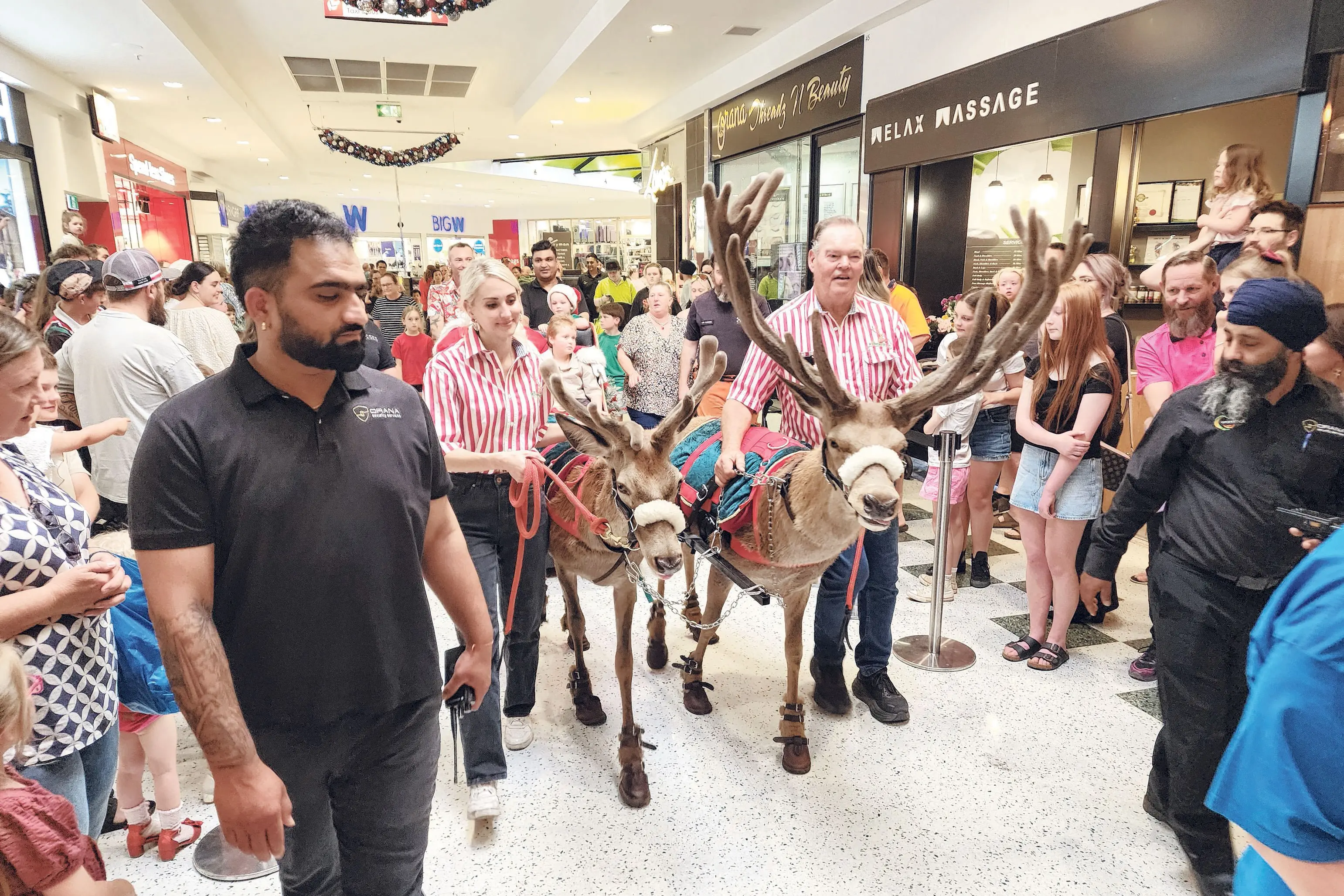 <p>The Man in Red, almost hidden behind a sea of faces, makes his entry with his reindeer and their escorts. Photo: Dubbo Photo News</p>\\n
