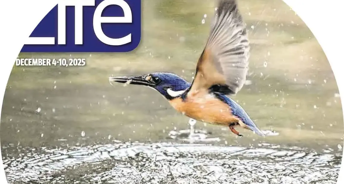 Editor's Note: December 4, 2025