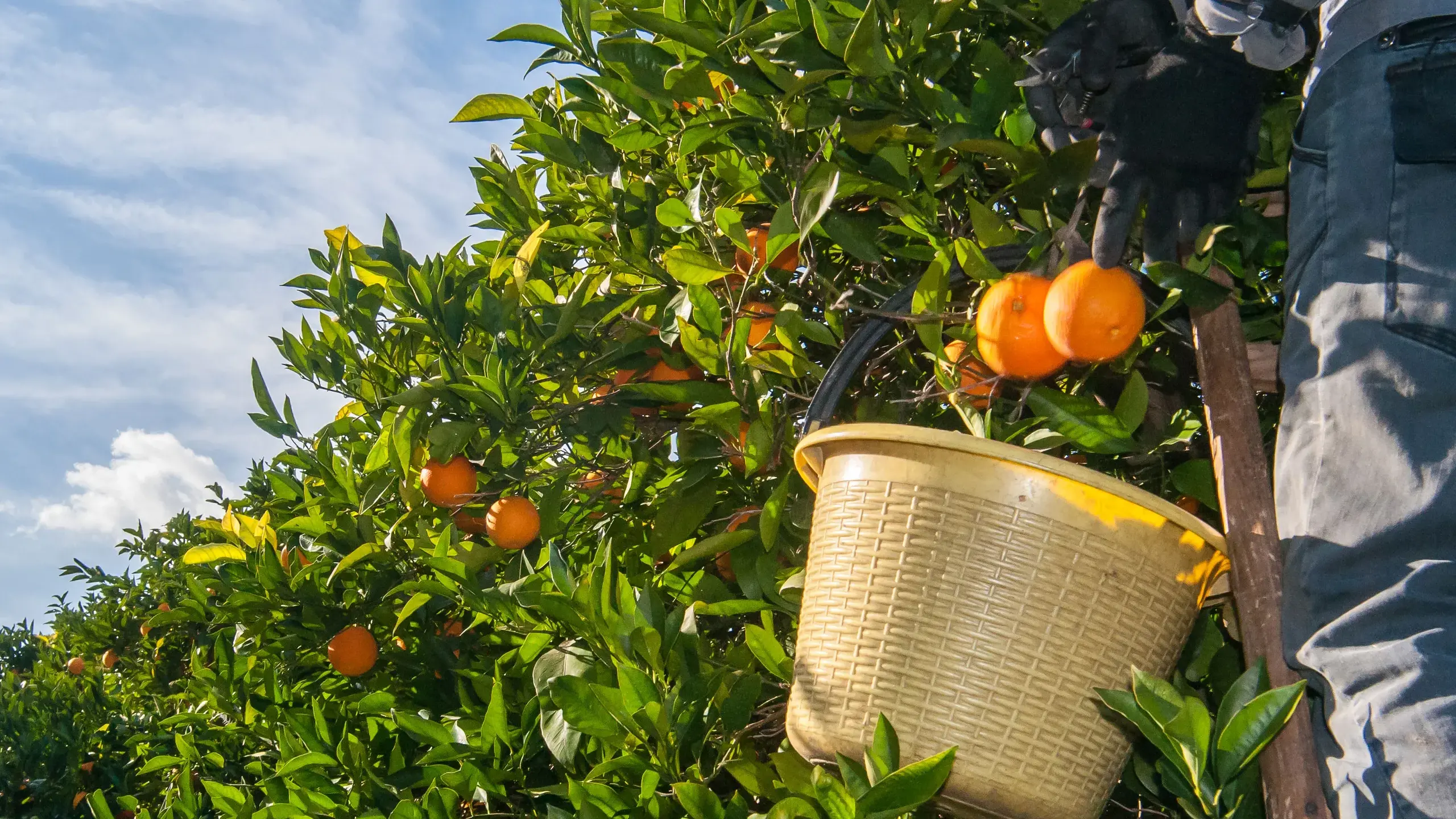 'Glorified shed': desperate conditions for migrant mums