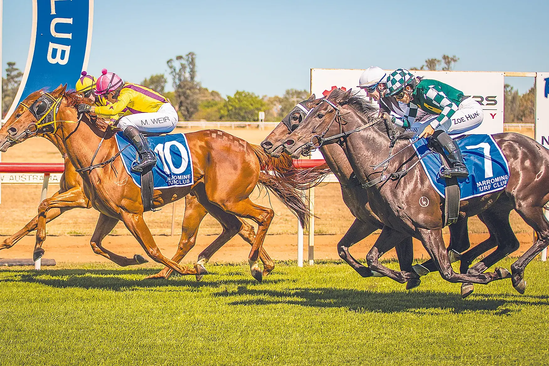 <p>Laisvas won the Alan Lloyd Memorial Handicap from Mrs Bull at Narromine on December 2. Photo: racingphotography.com.au</p>\\n