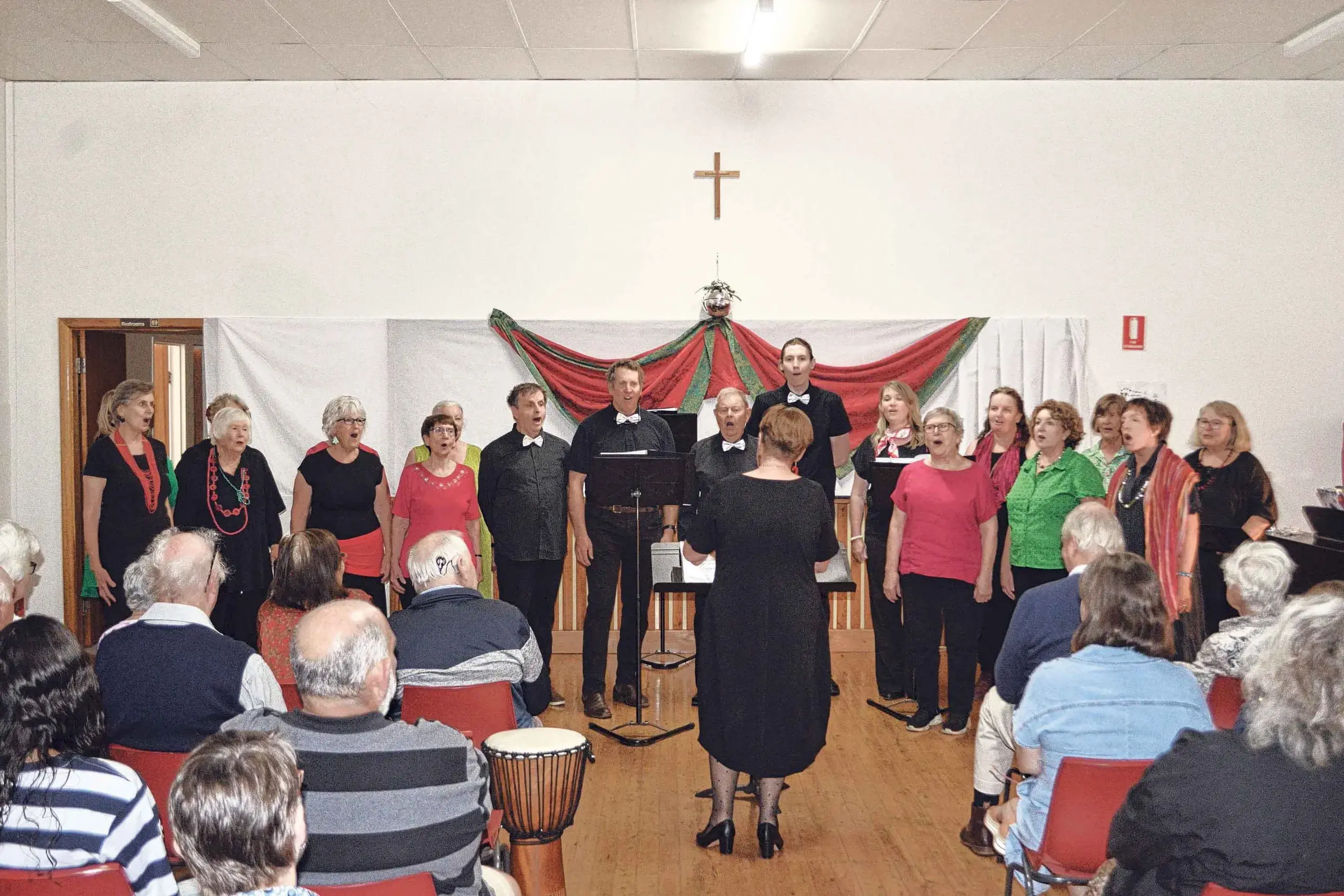 <p>Stray Notes Choir in action in Wellington. Photos: Colin Rouse</p>\\n