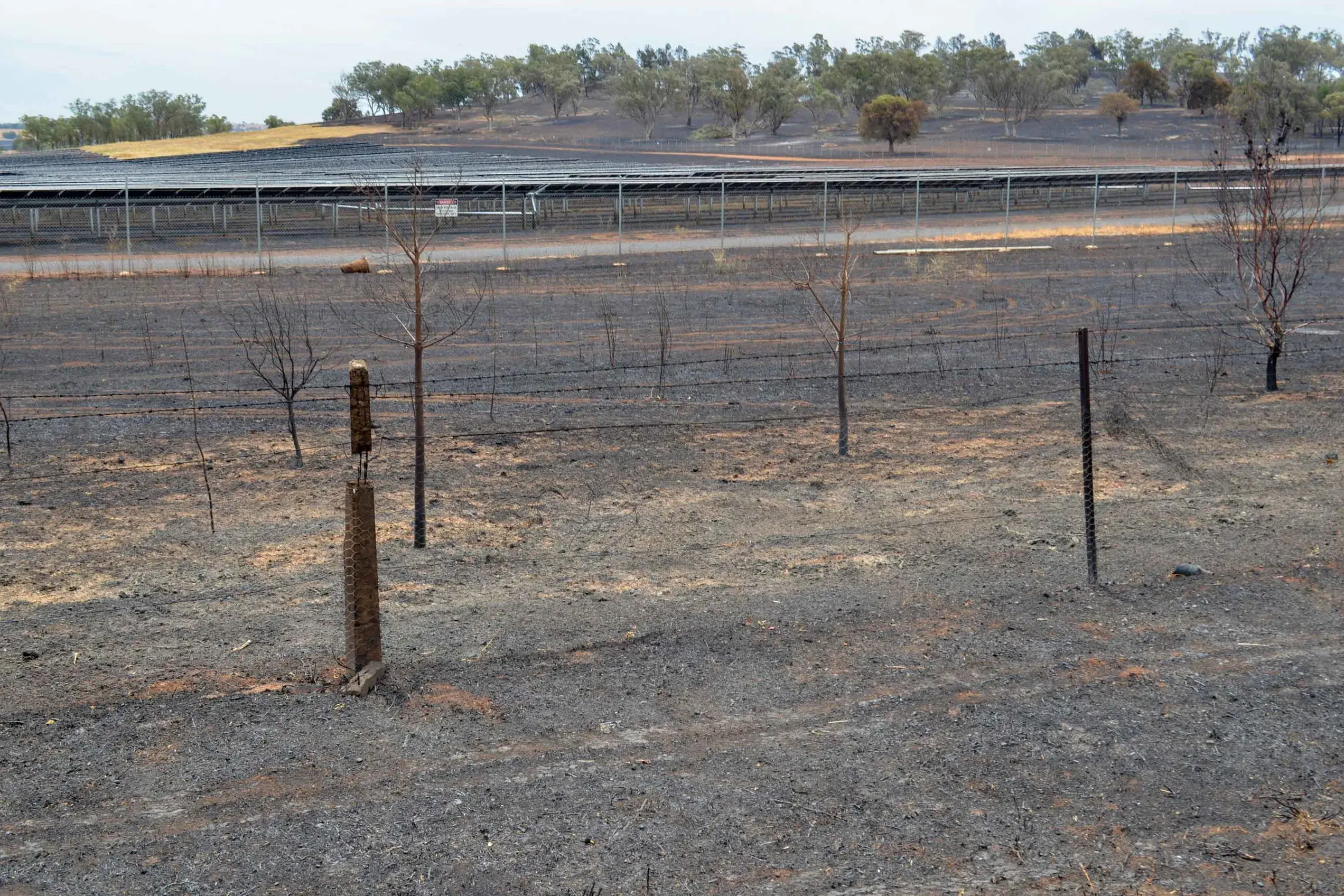 <p>Images of the recent solar farm fire near Wellington. Photo: Dubbo Photo News/Colin Rouse</p>\\n