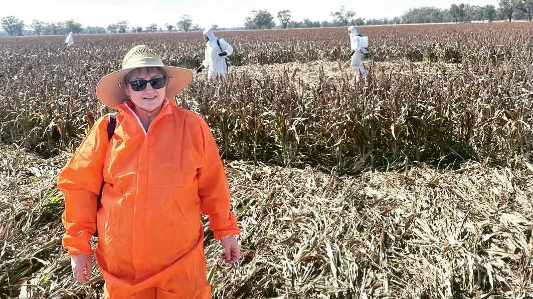 Love Your Work: Sharon Bonthuys