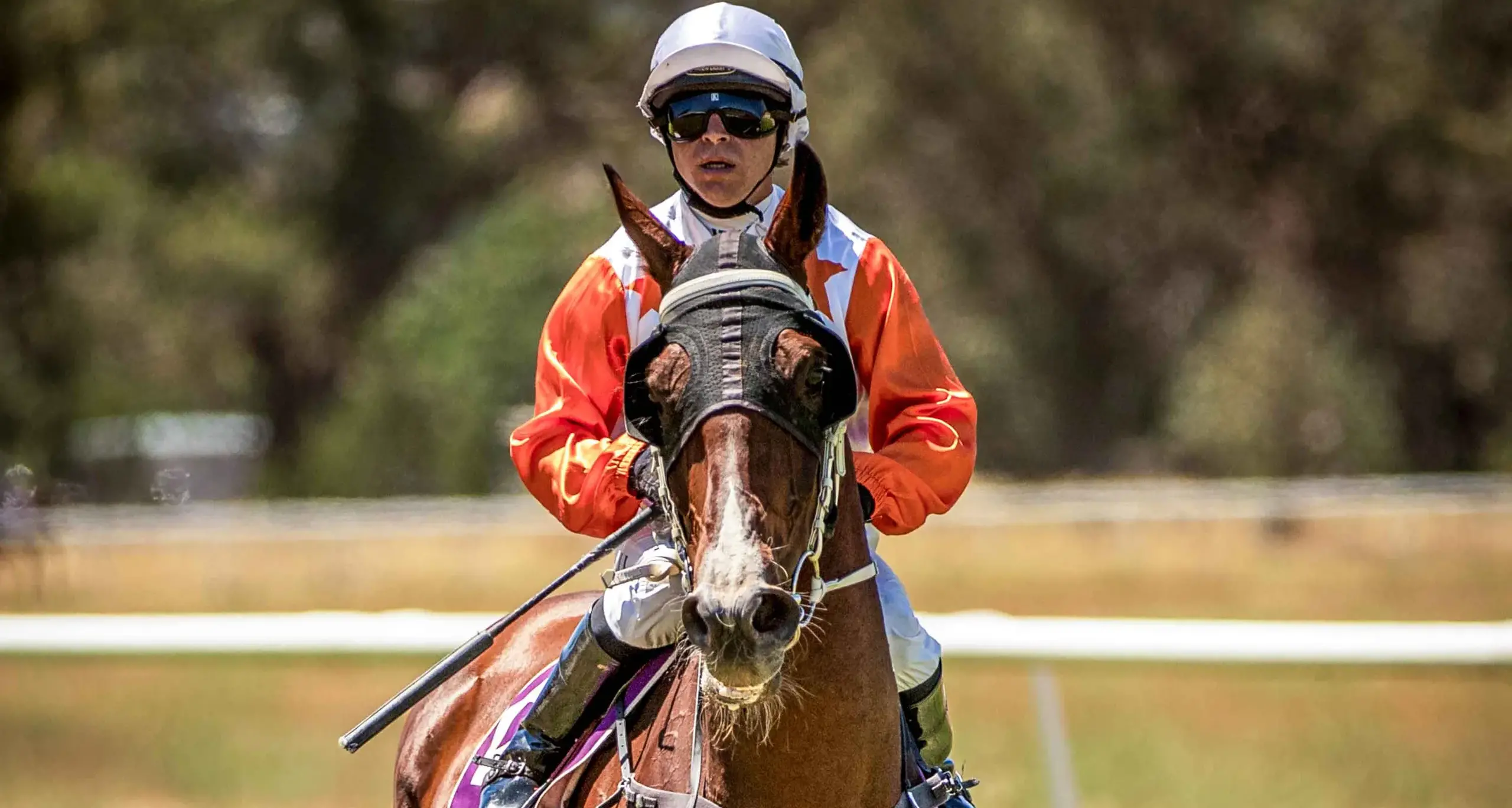 Billabong Rose triumphs at Parkes Jockey Club's January meeting
