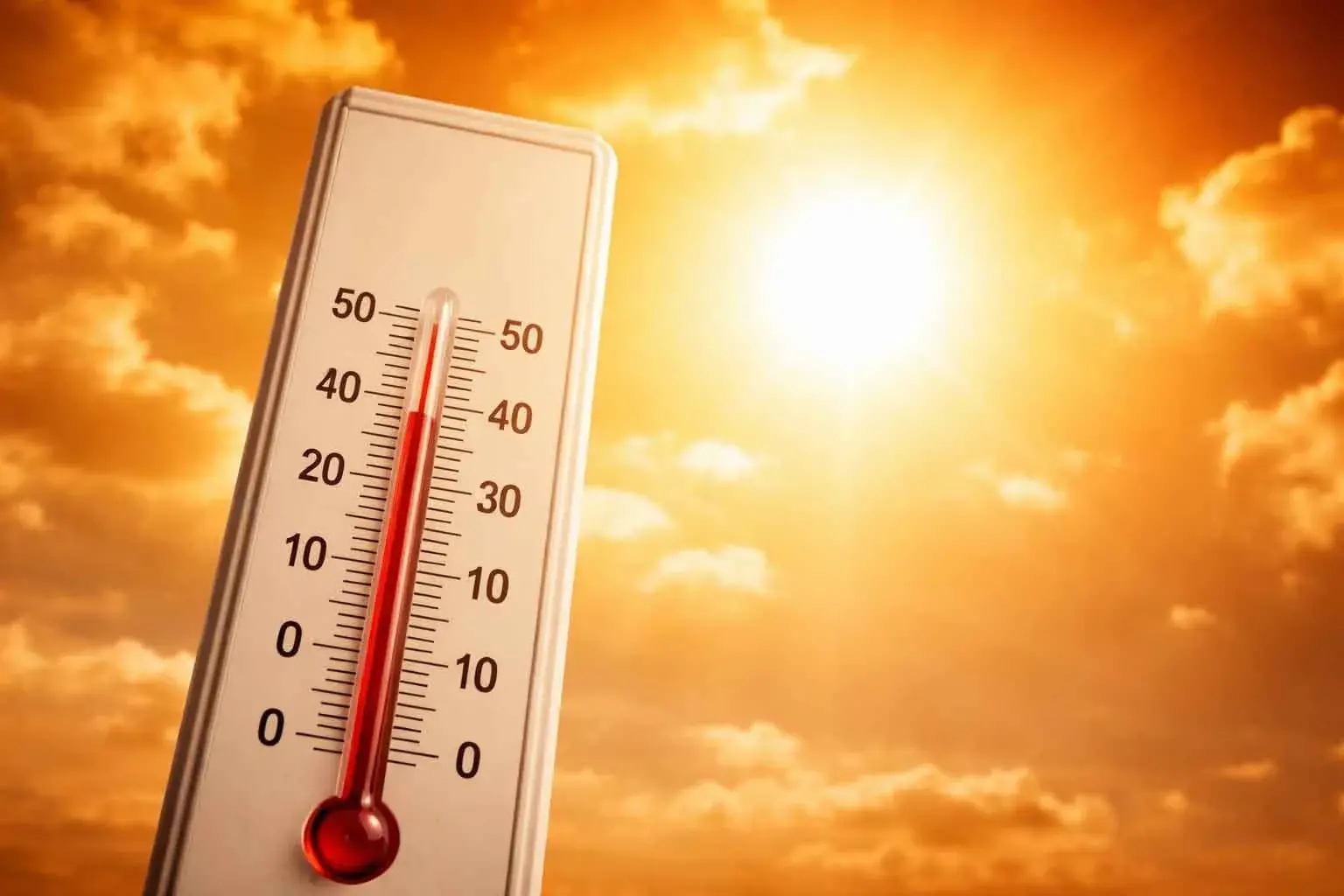 <p>Dubbo, Orange, Bourke and Cobar are among the many regional NSW centres being impacted by heatwave conditions this week.</p>\\n