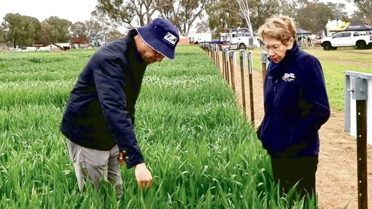 NSW Governor set to serve until 2028