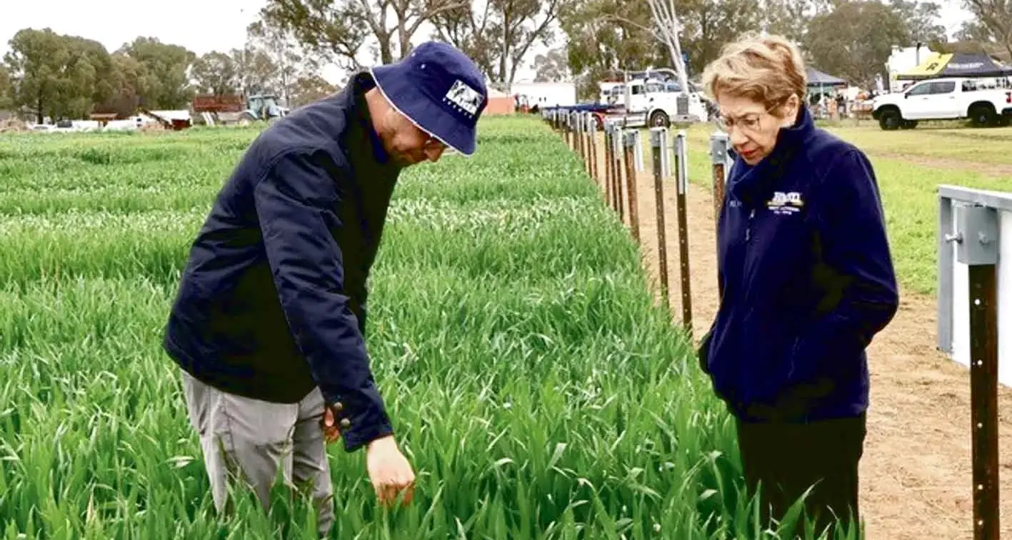 NSW Governor set to serve until 2028