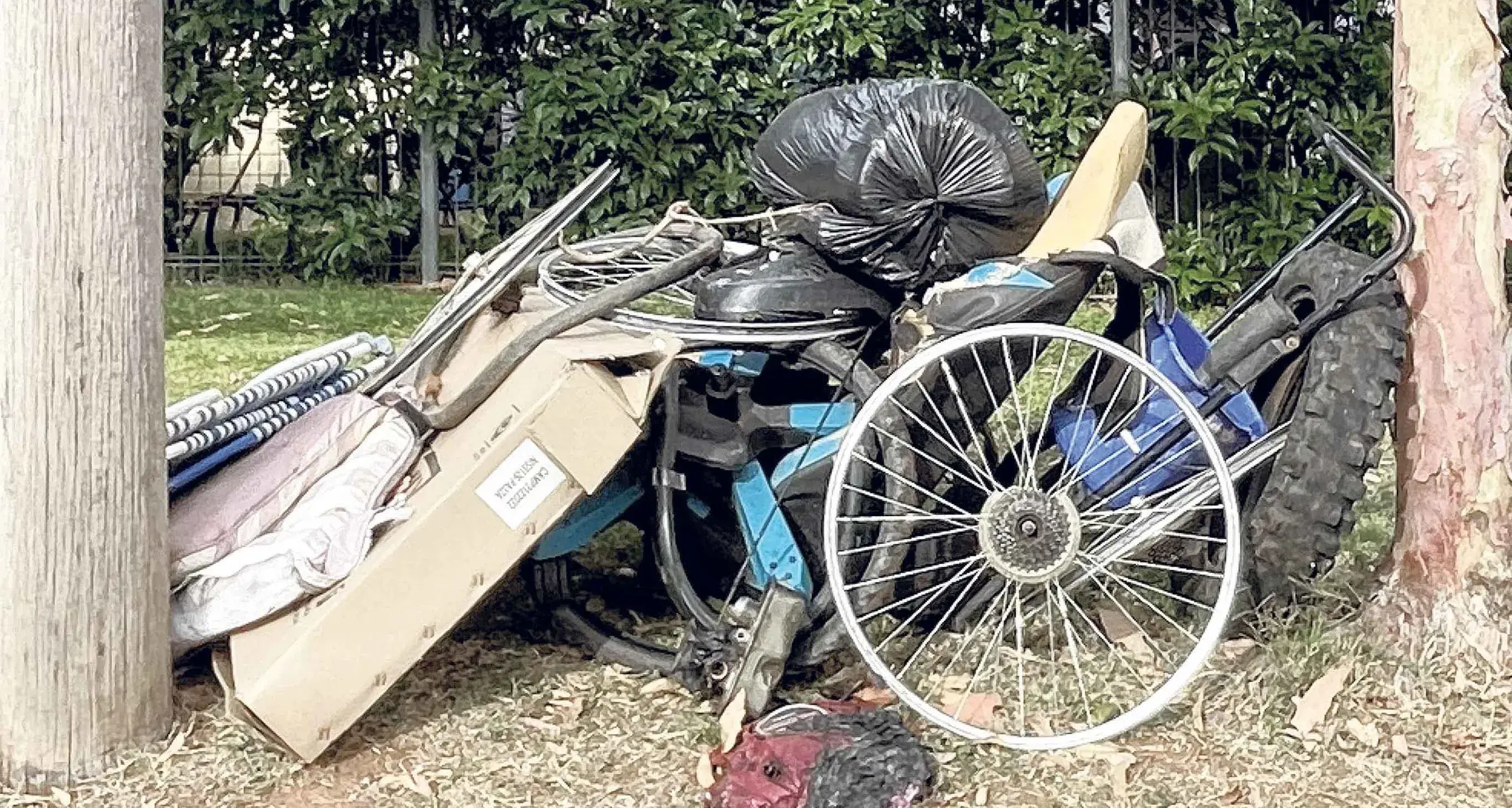 Dubbo tightens its collective belt, with rubbish removal opinions also sought