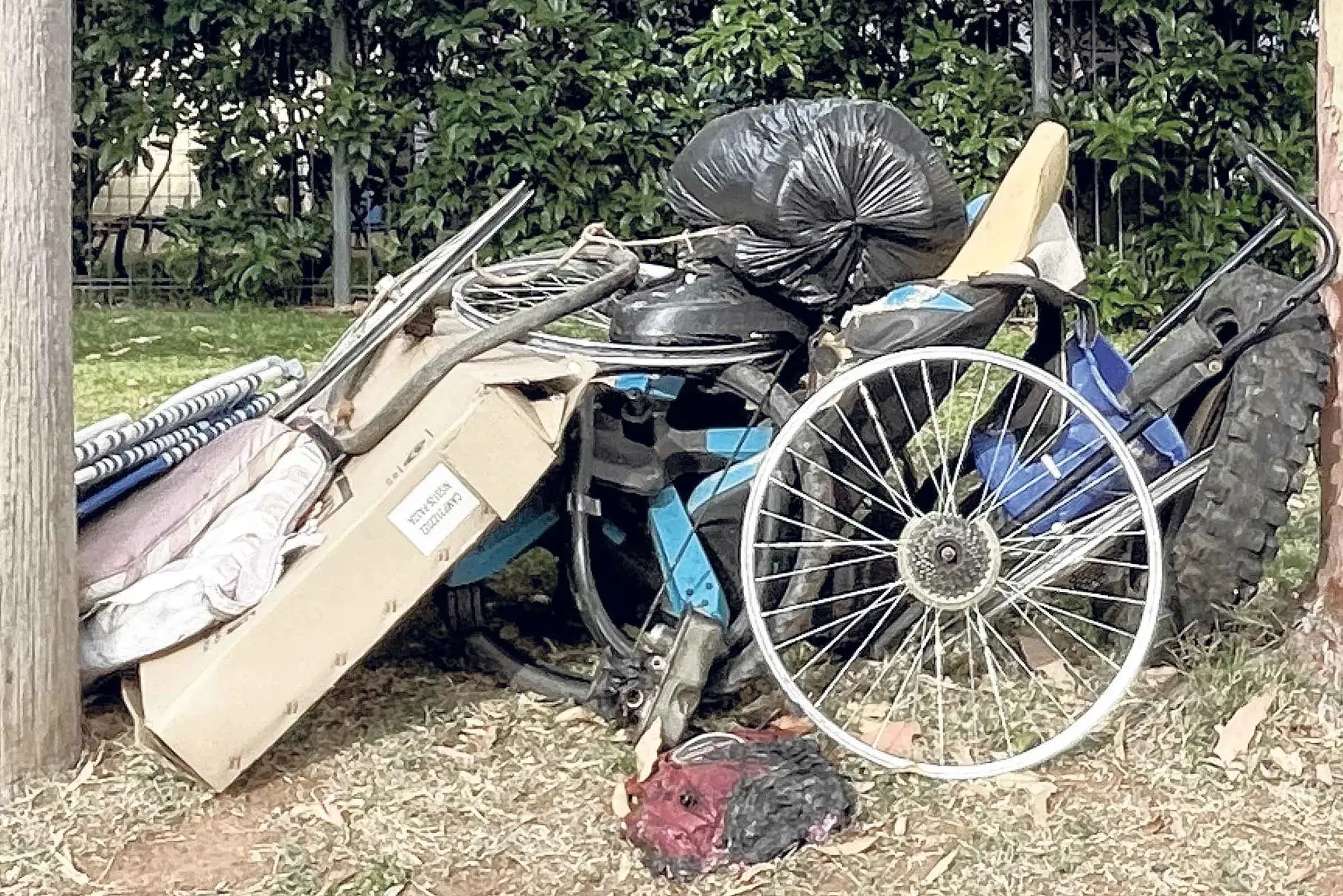 <p>Council is asking local residents whether to continue booked roadside pick-ups, or to go back to the general call-outs of the past. Photo: Supplied</p>\\n