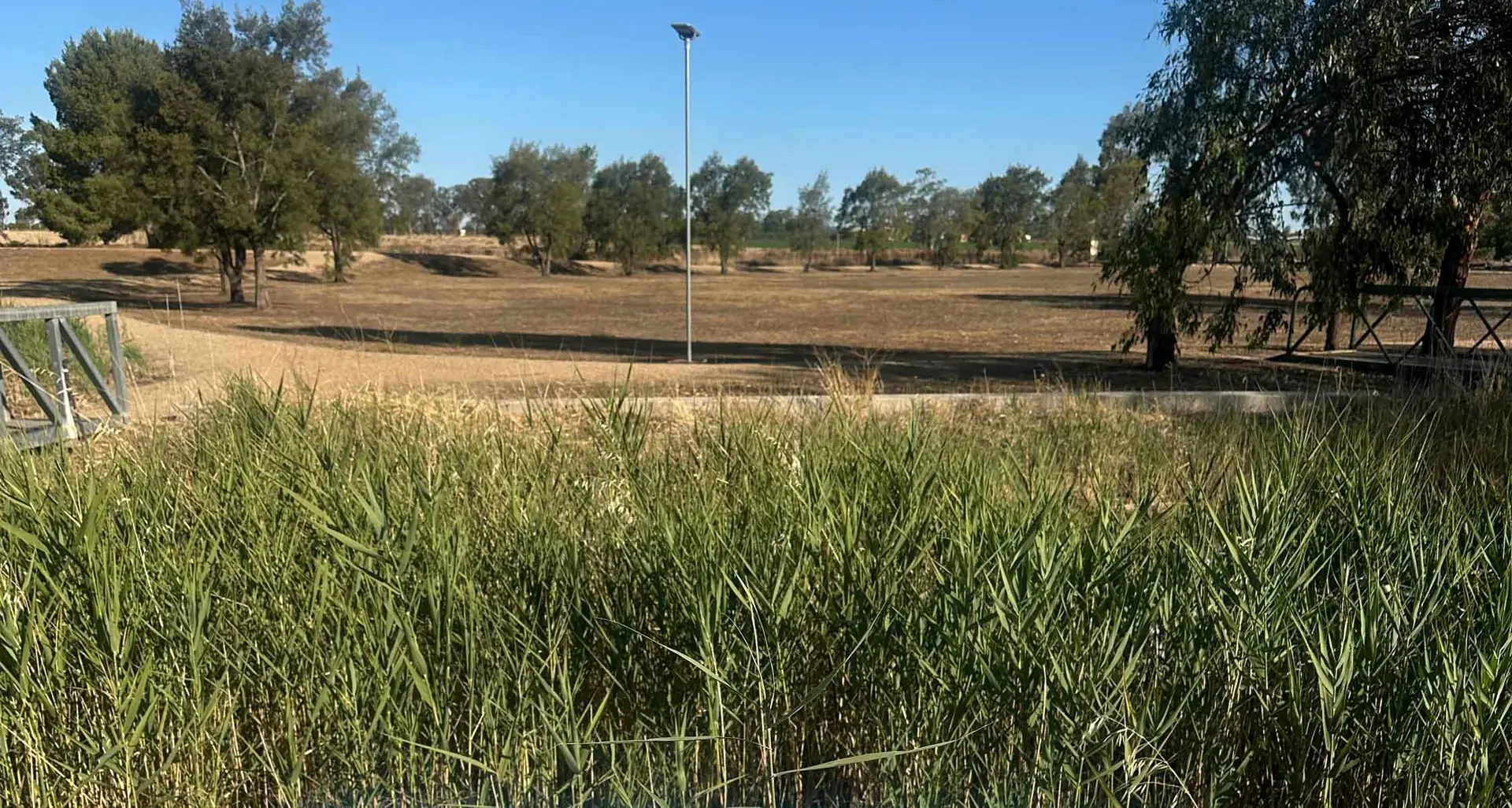 Narromine Council resolves water emergency in Narromine